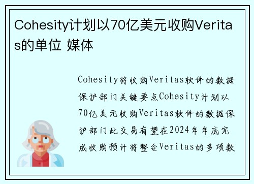 Cohesity计划以70亿美元收购Veritas的单位 媒体