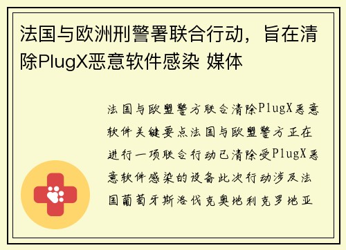 法国与欧洲刑警署联合行动，旨在清除PlugX恶意软件感染 媒体