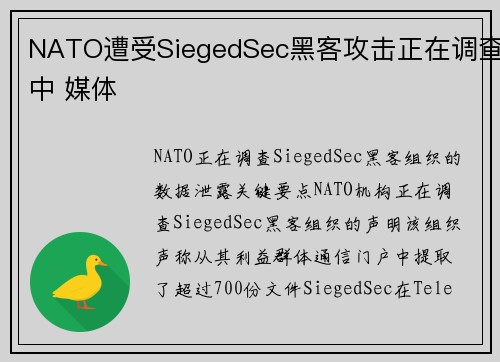 NATO遭受SiegedSec黑客攻击正在调查中 媒体