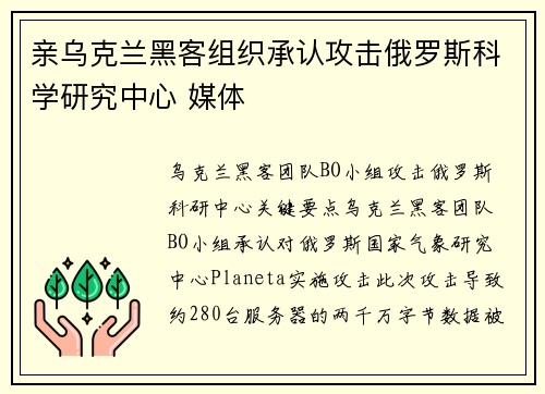 亲乌克兰黑客组织承认攻击俄罗斯科学研究中心 媒体